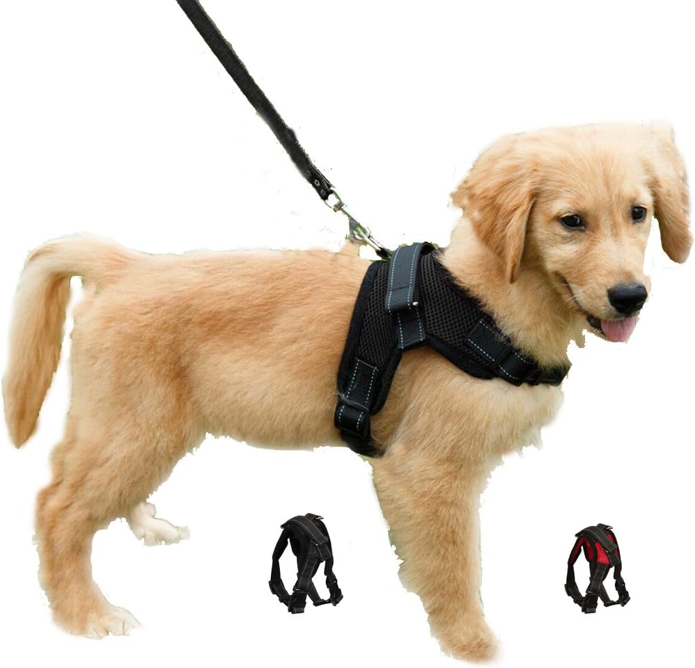 Dog Harness Mesh Breathable Comfortable Pet Vest | PetNestUK