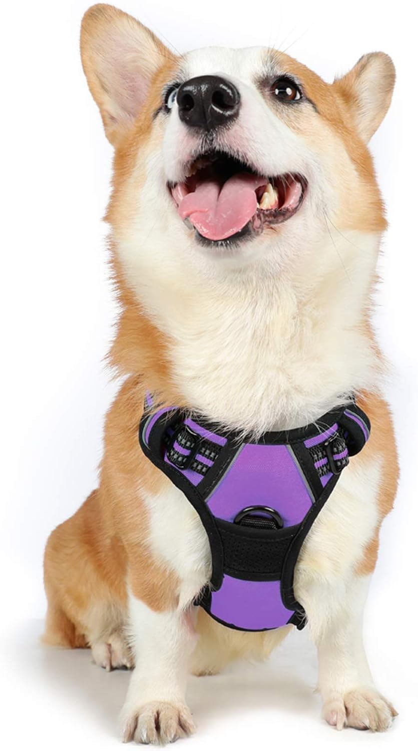 rabbitgoo Dog Harness Dog No Pull Pet Harness | PetNestUK