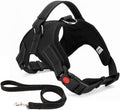 Musonic Adjustable Padded Dog Harness