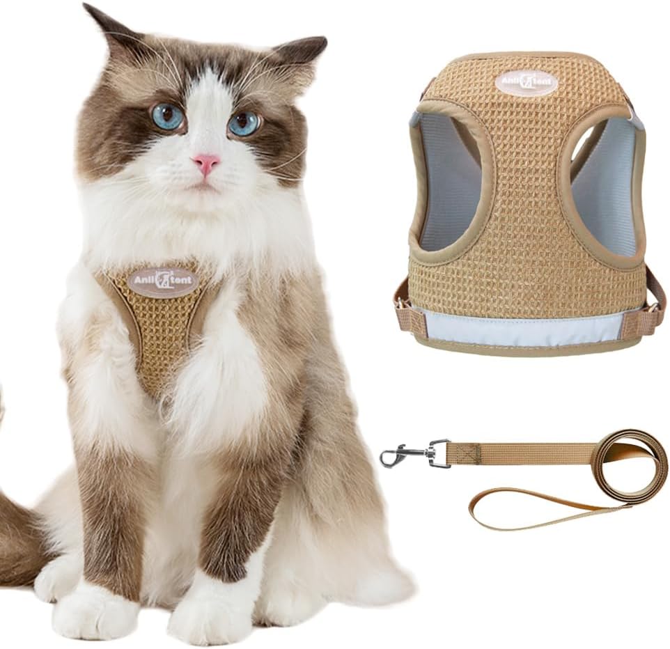 Anlitent Mesh Pet Harness and Lead Set