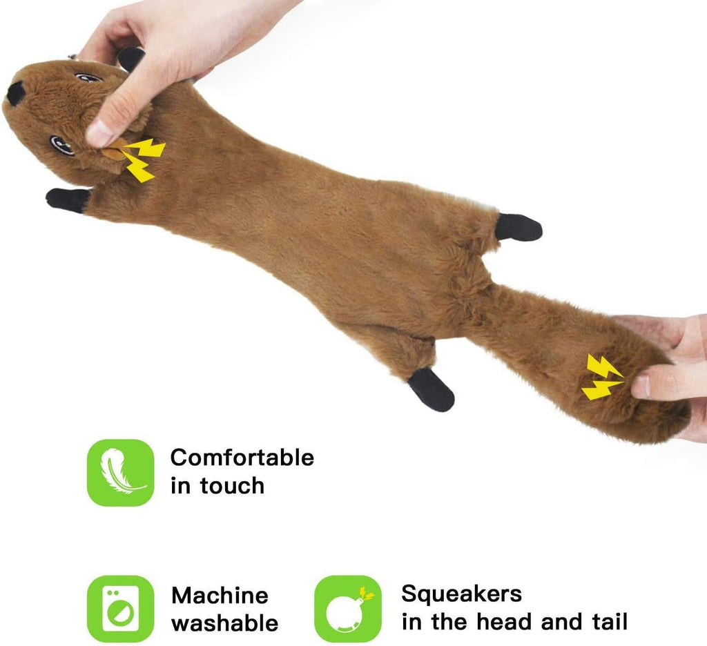 Newthinking No Stuffing Dog Toys, 5 Pack Squeaky | PetNestUK
