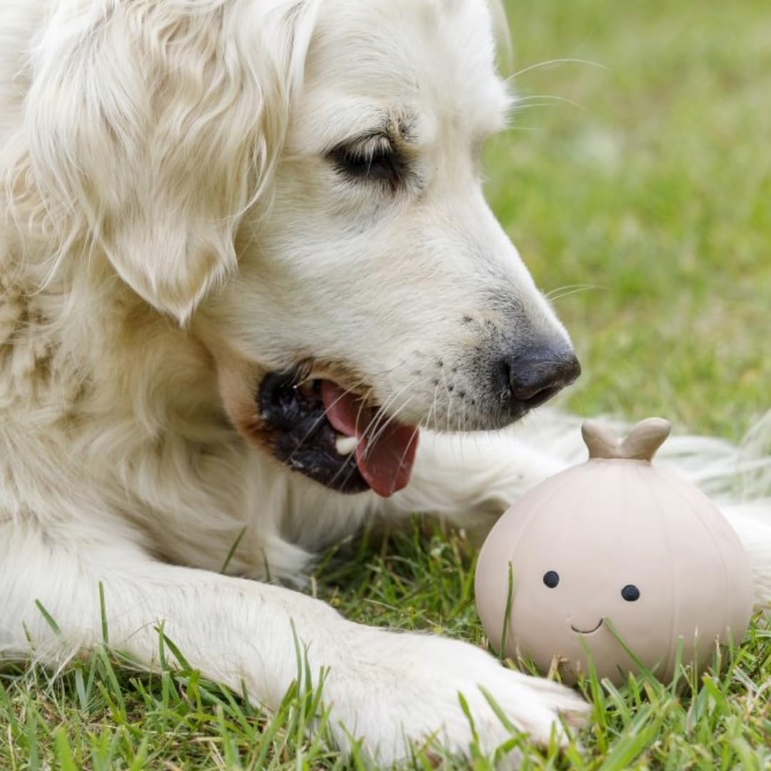 Petface Latex Apple Soft Chew Dog Toy, Large | PetNestUK