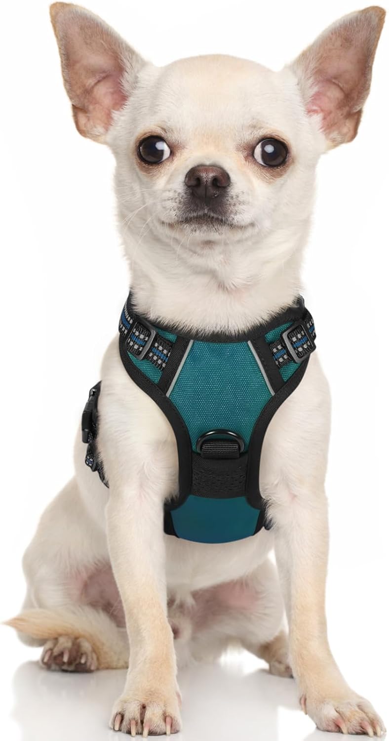 rabbitgoo Padded Dog Harness with Two Lead Clips
