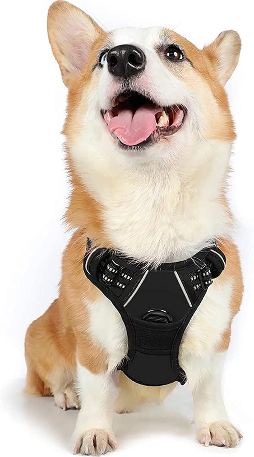rabbitgoo Dog Harness Dog No Pull Pet Harness | PetNestUK