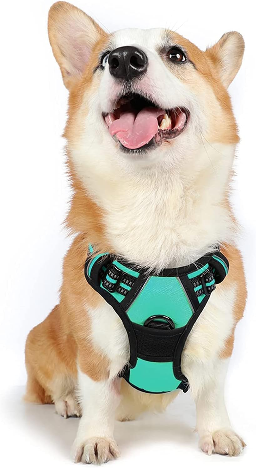 rabbitgoo Dog Harness Dog No Pull Pet Harness | PetNestUK