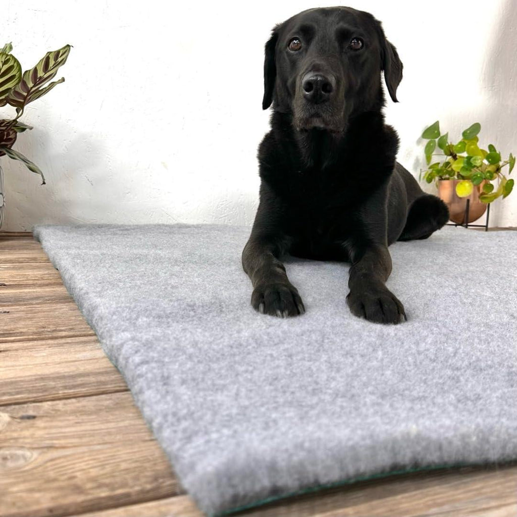 SOUL DESTINY Traditional Grey High-Grade Vet | PetNestUK
