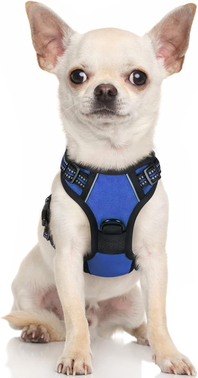 rabbitgoo Padded Dog Harness with Two Lead Clips