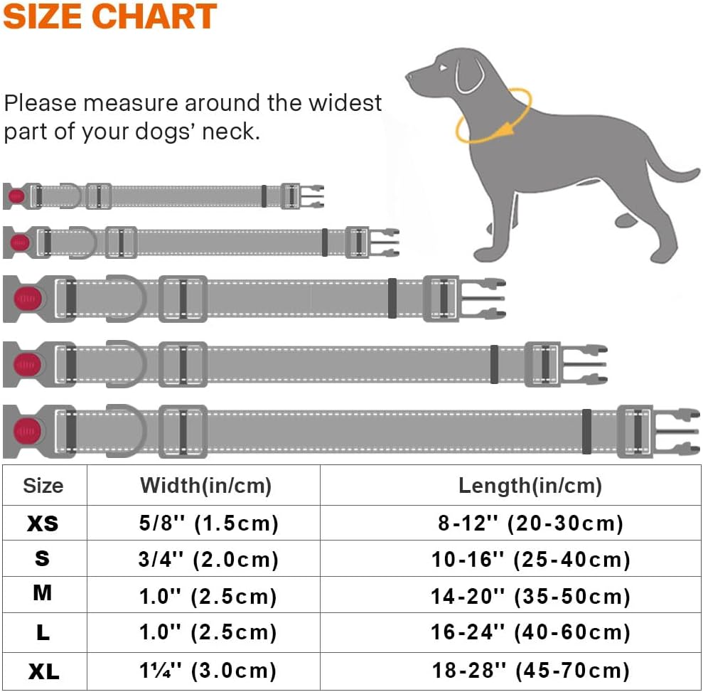 Taglory Reflective Nylon Dog Collar with Safety | PetNestUK