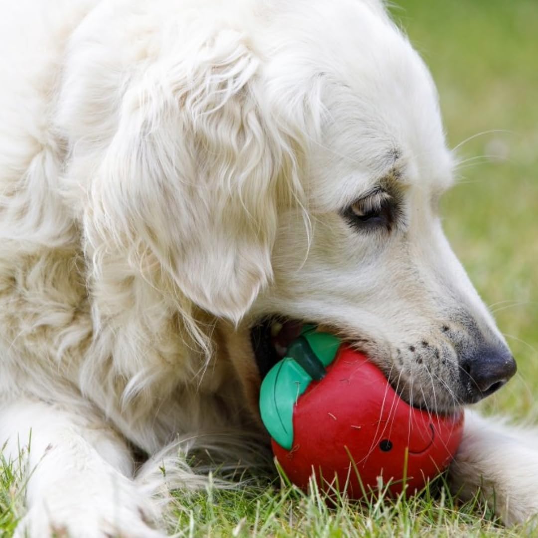 Petface Latex Apple Soft Chew Dog Toy, Large | PetNestUK