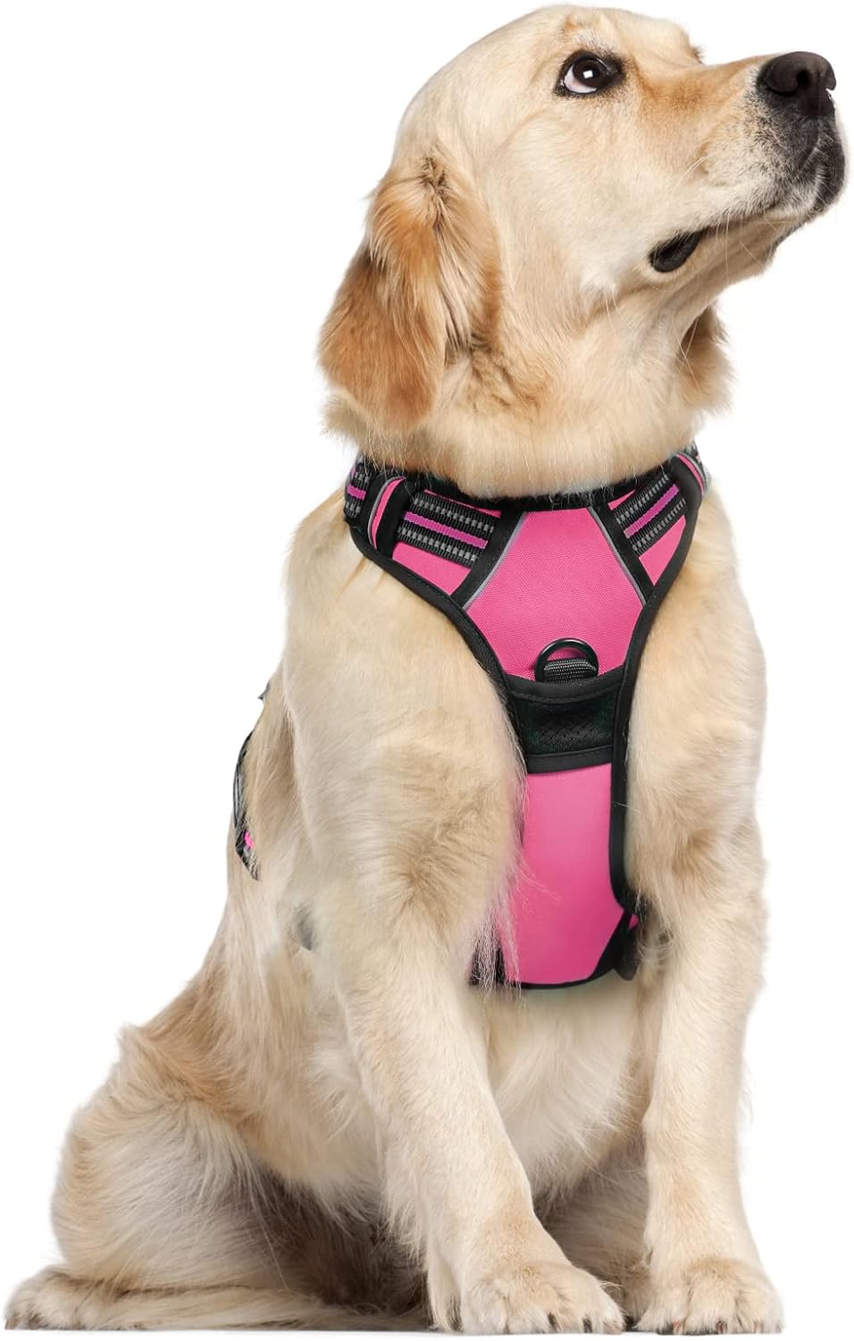 rabbitgoo Dog Harness Dog No Pull Pet Harness | PetNestUK