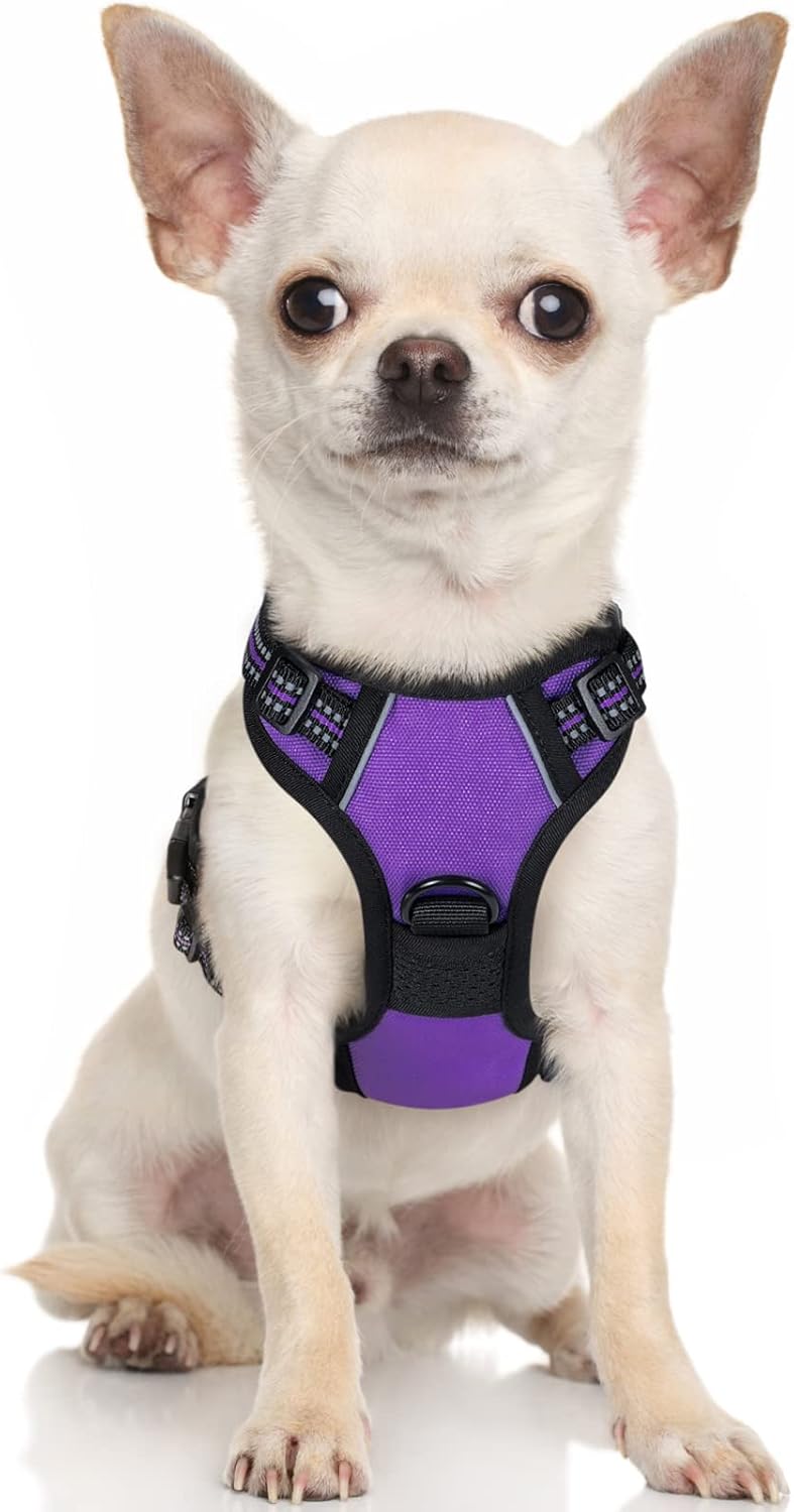 rabbitgoo Padded Dog Harness with Two Lead Clips