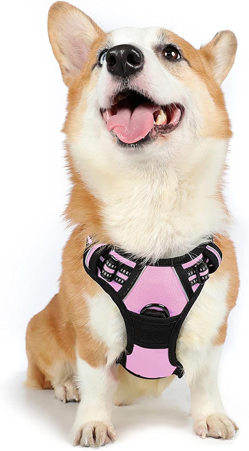 rabbitgoo Padded Dog Harness with Two Lead Clips
