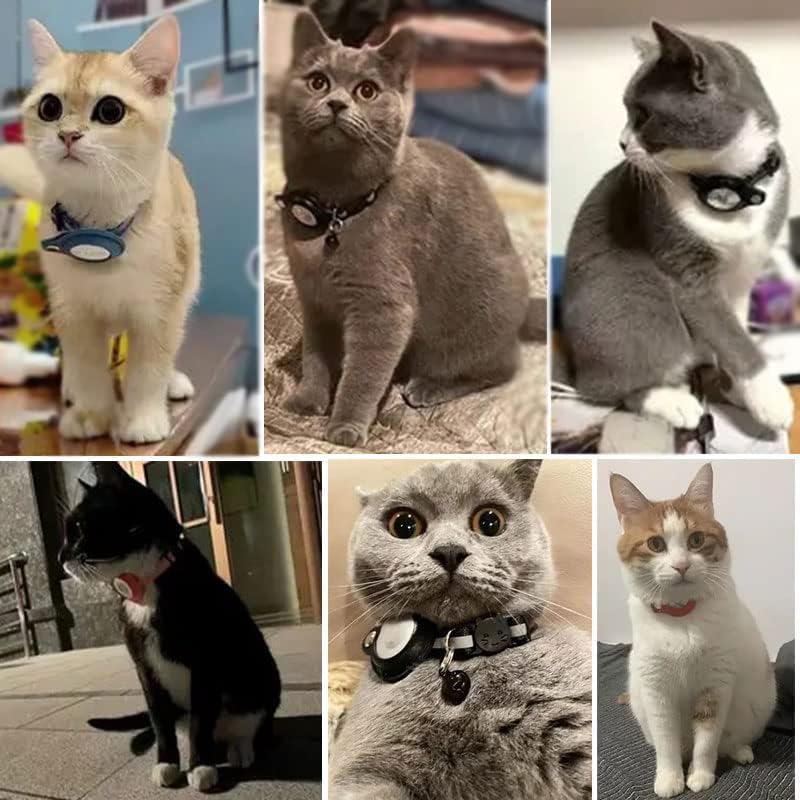 Airtag Cat Collar, Air tag Cat Collar with Bell | PetNestUK