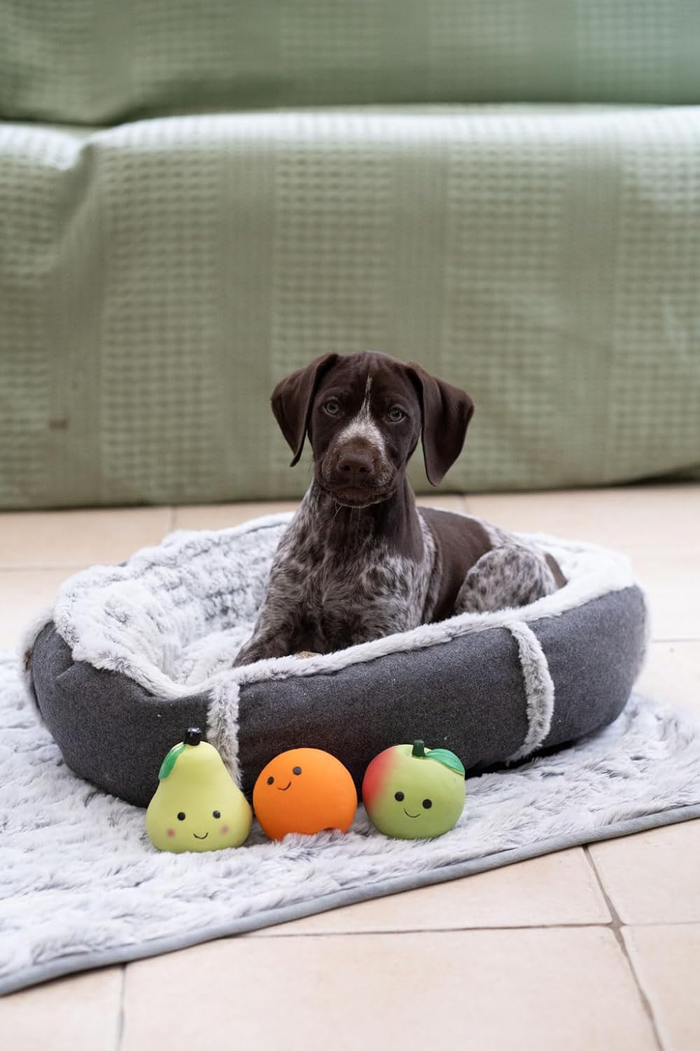 Petface Latex Apple Soft Chew Dog Toy, Large | PetNestUK
