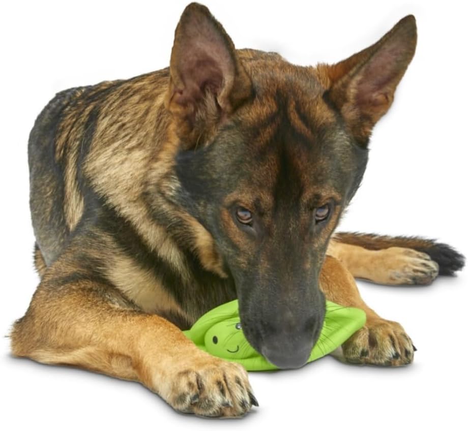 Petface Latex Apple Soft Chew Dog Toy, Large | PetNestUK
