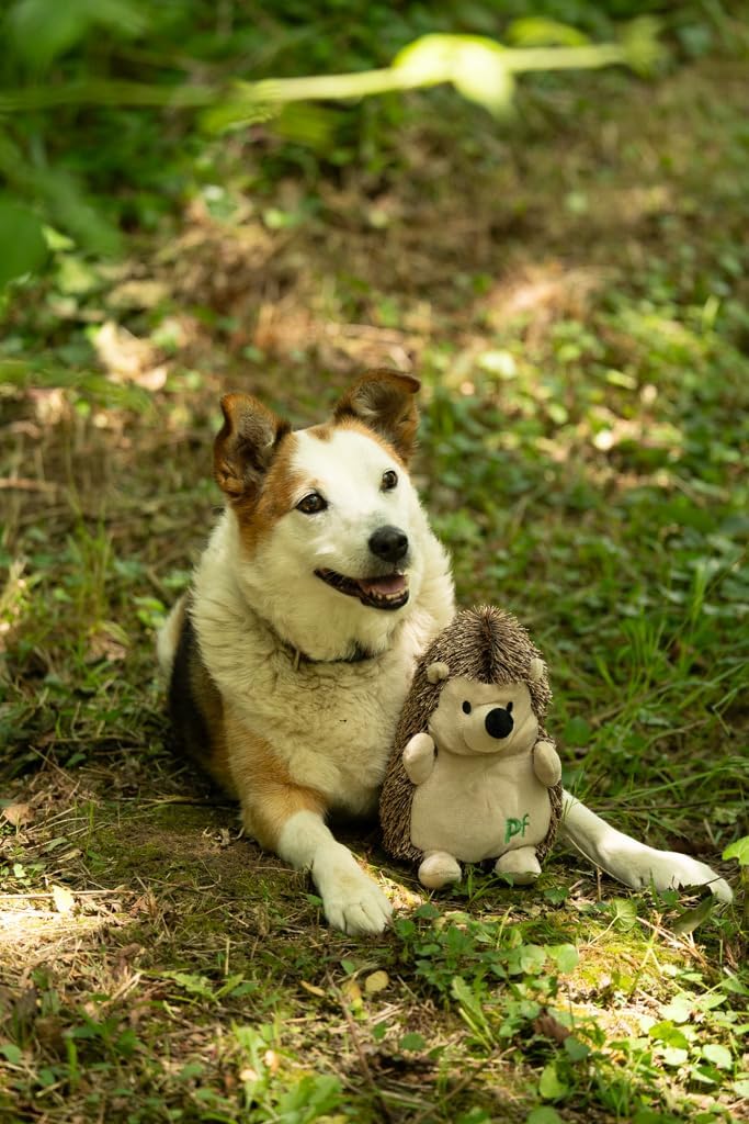 Petface Plush and Squeaky Dog Toys