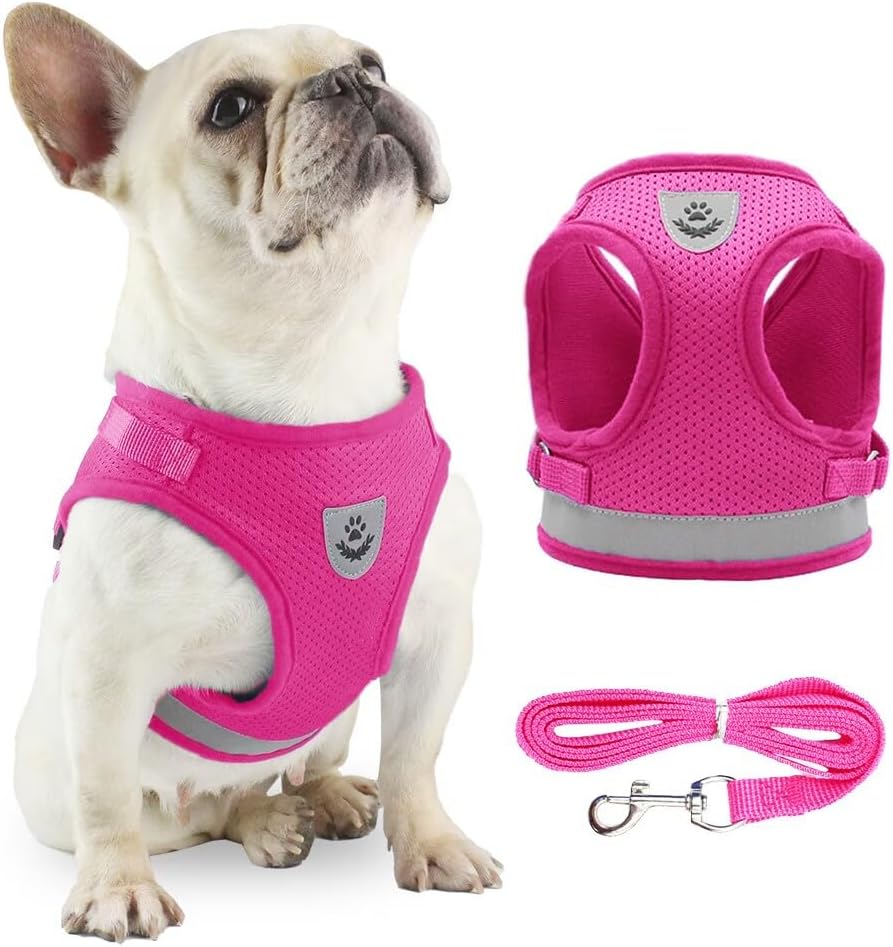 Anlitent Mesh Pet Harness and Lead Set