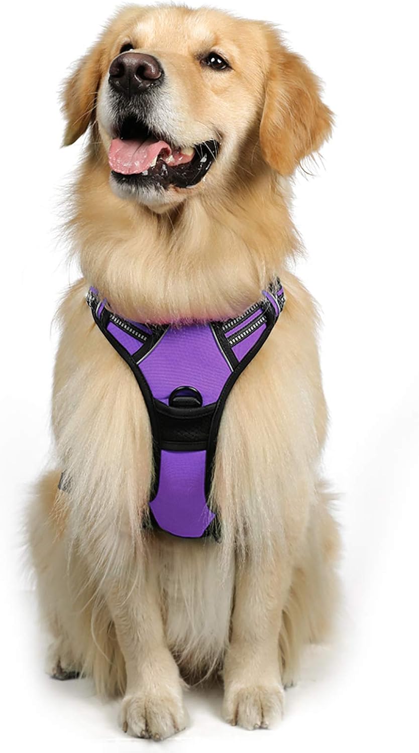 rabbitgoo Dog Harness Dog No Pull Pet Harness | PetNestUK