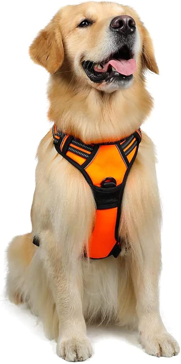 rabbitgoo Dog Harness Dog No Pull Pet Harness | PetNestUK