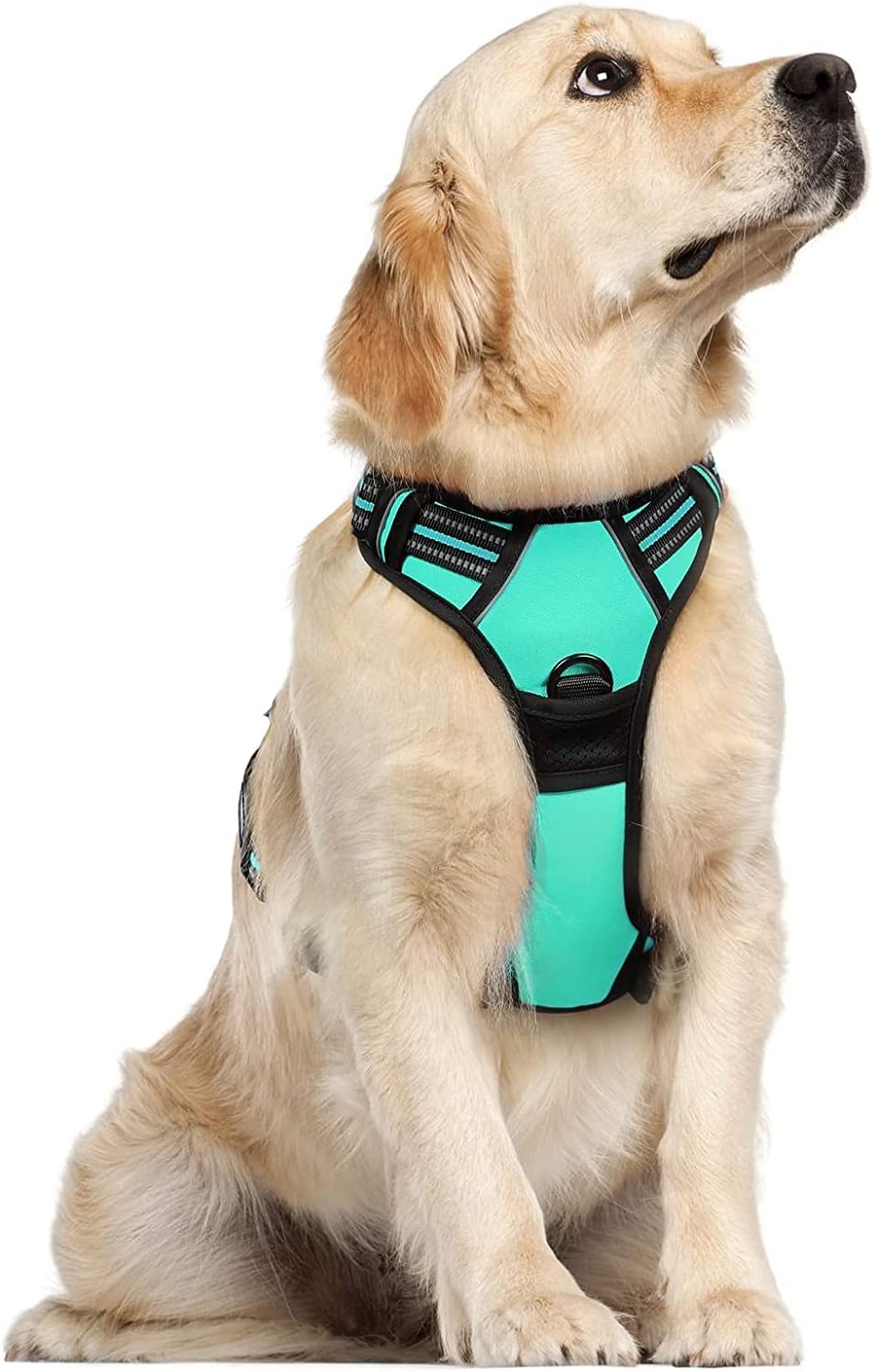 rabbitgoo Dog Harness Dog No Pull Pet Harness | PetNestUK