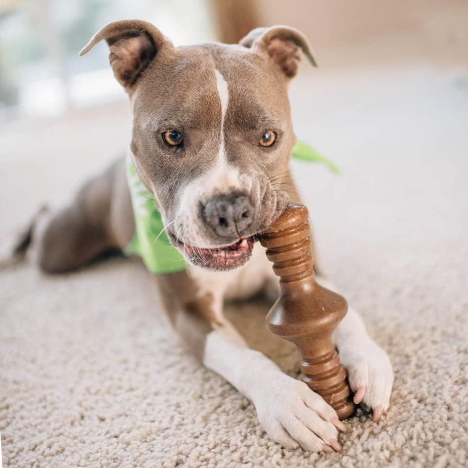 Benebone Durable Dog Chew Toy Box for Aggressive | PetNestUK