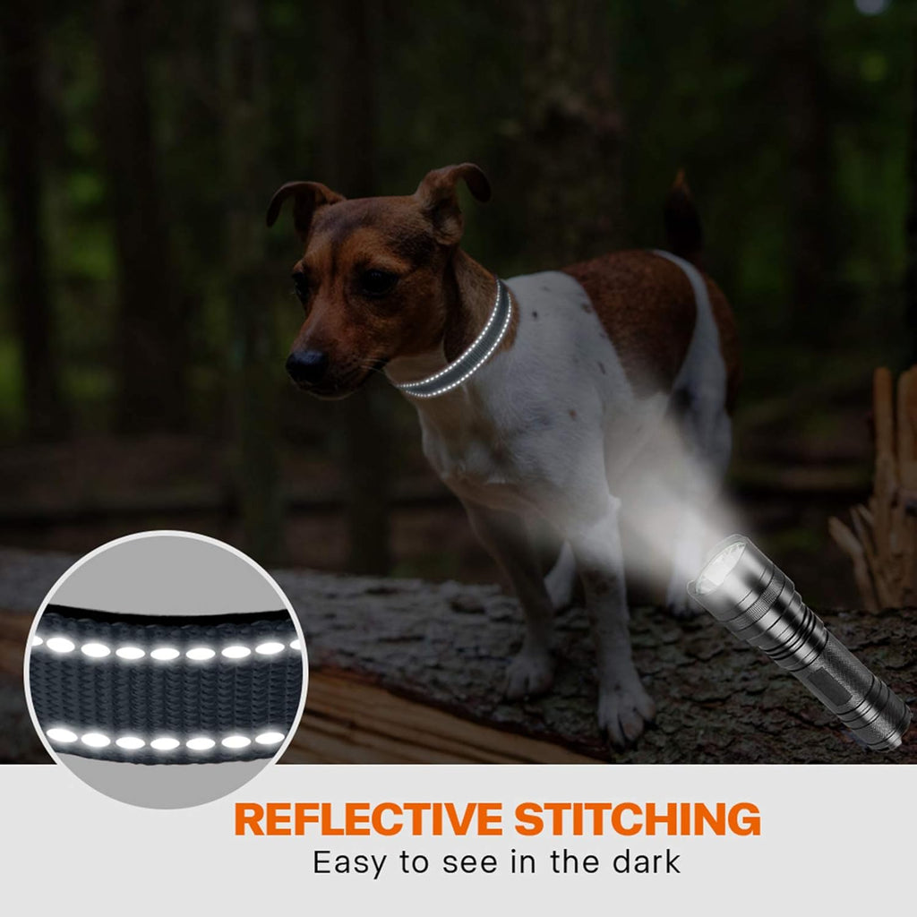 Taglory Reflective Nylon Dog Collar with Safety | PetNestUK