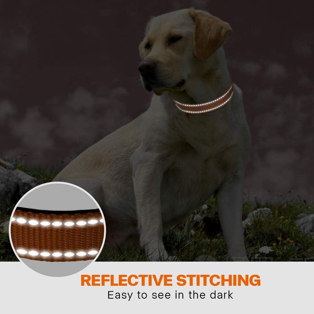 Taglory Reflective Nylon Dog Collar with Safety | PetNestUK