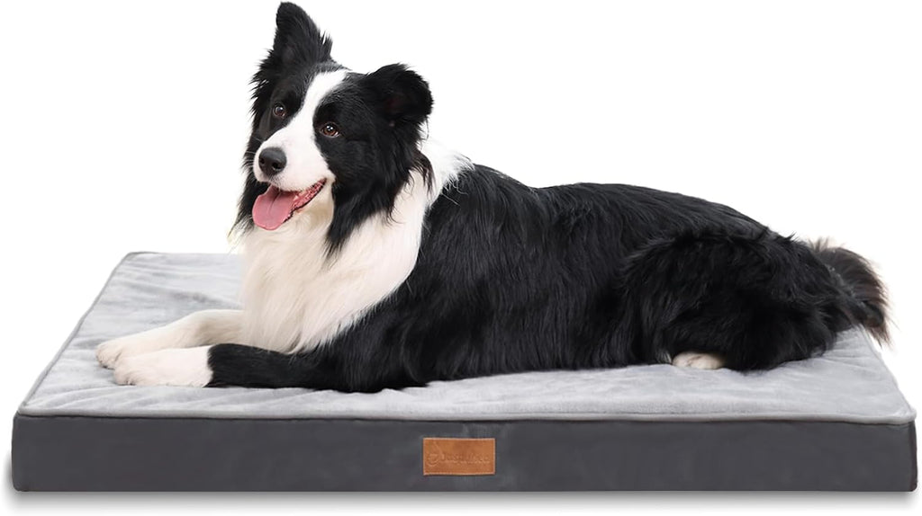 Jaspuriea Foam Dog Bed with Removable Cover