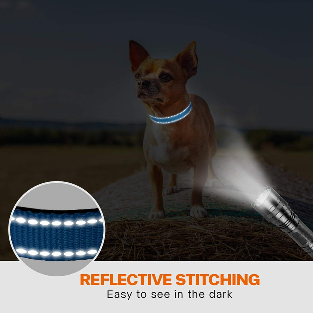 Taglory Reflective Nylon Dog Collar with Safety | PetNestUK