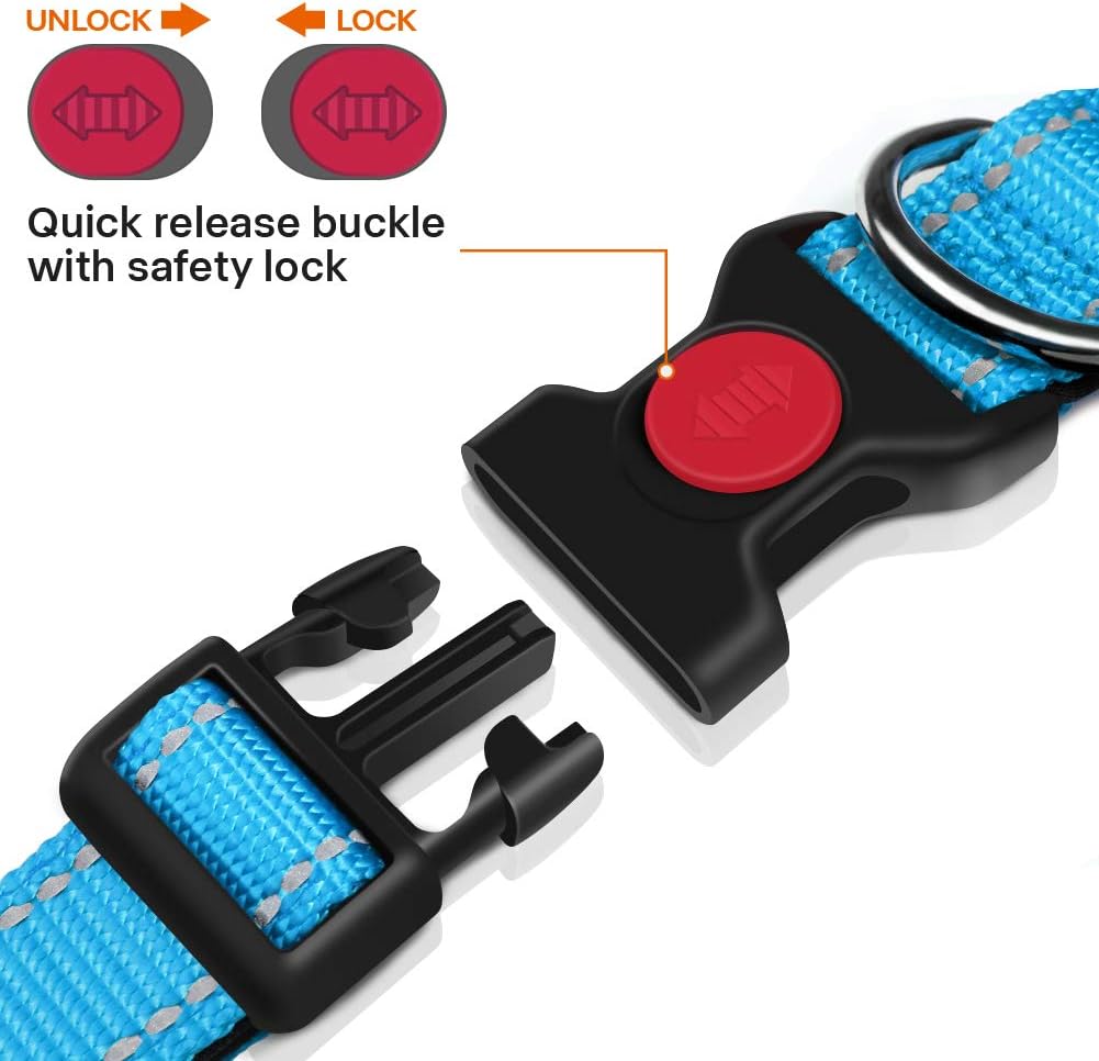 Taglory Reflective Nylon Dog Collar with Safety | PetNestUK