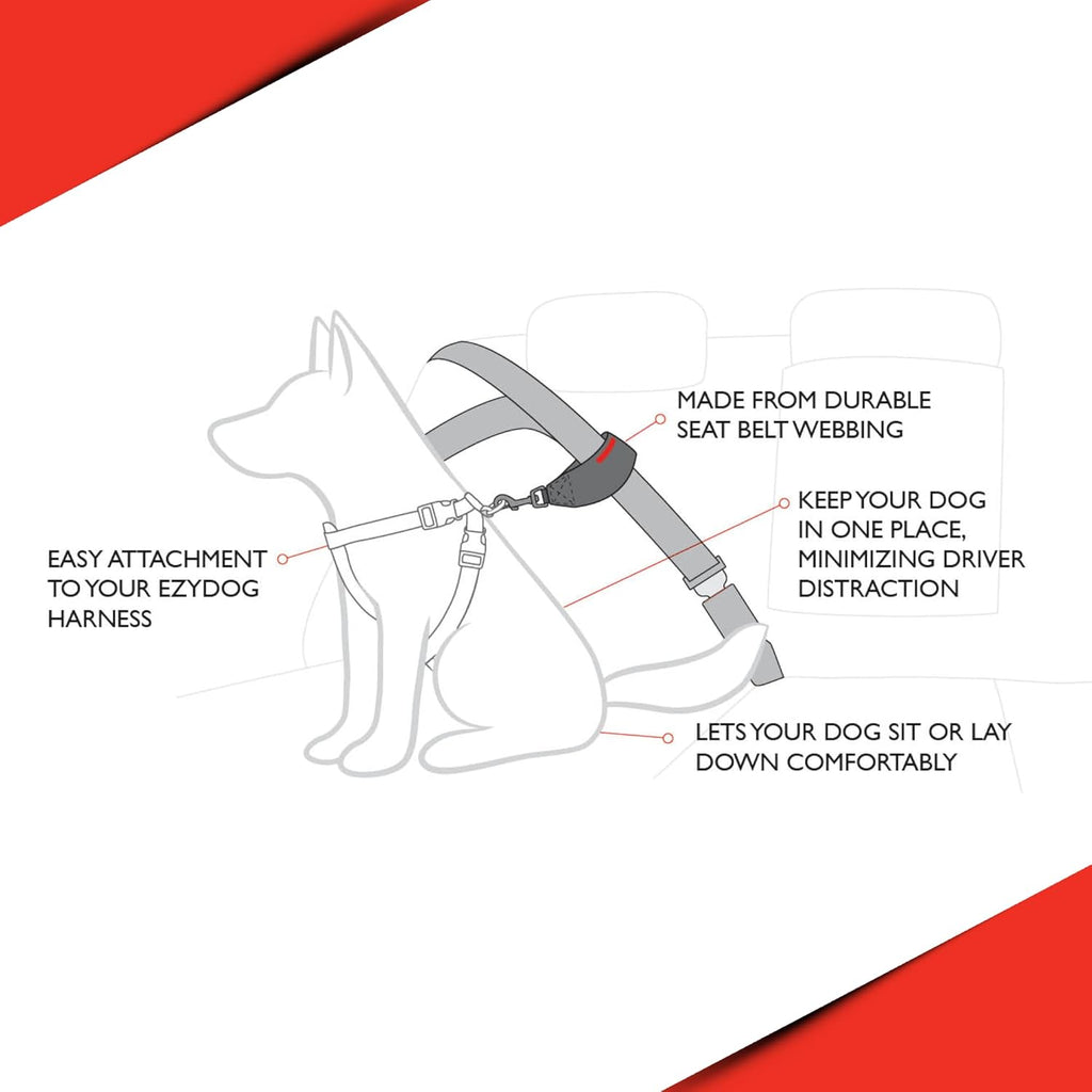 EZYDOG Dog Seat Belt Car Attachment | PetNestUK