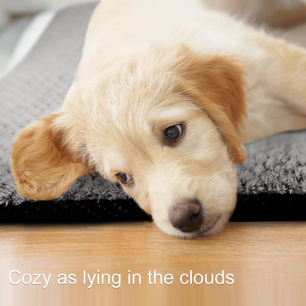 Onarway Dog Bed Mat Medium: Washable Fluffy Dog | PetNestUK