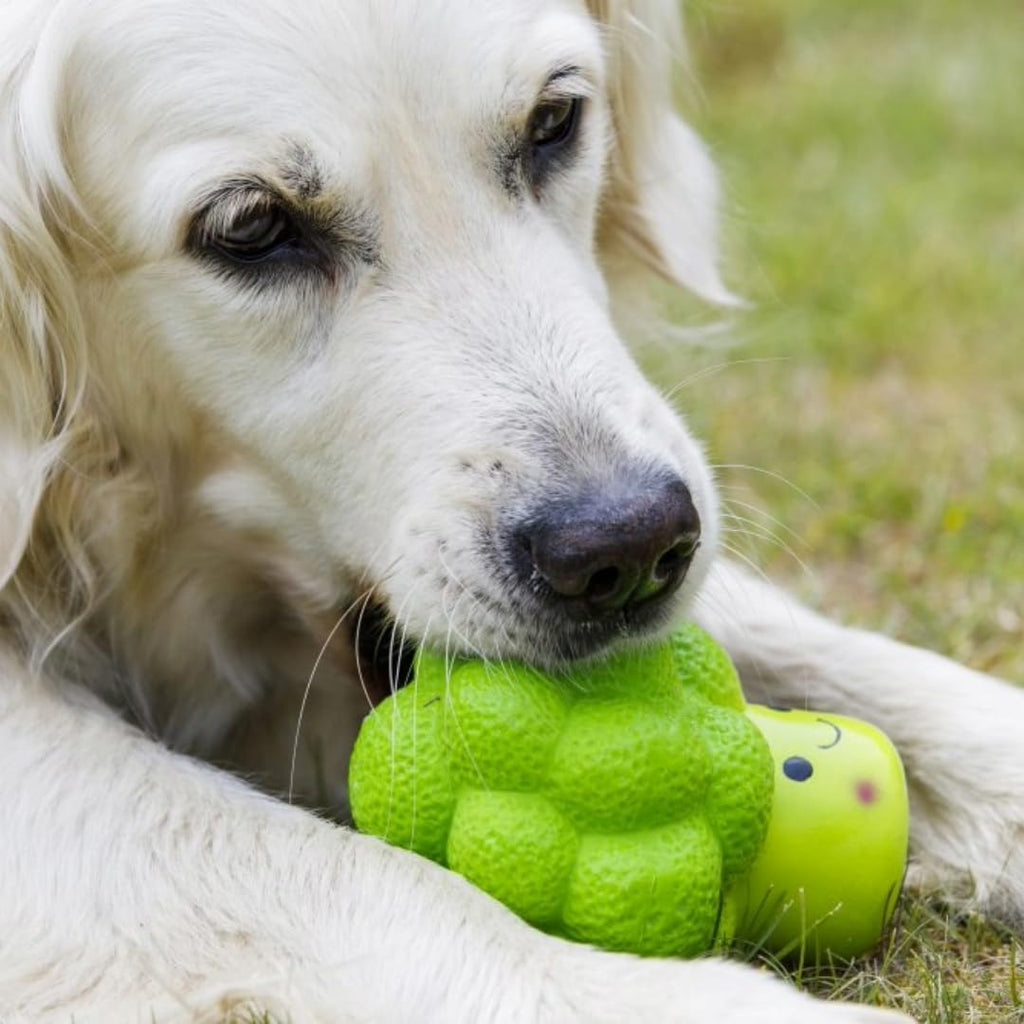 Petface Latex Apple Soft Chew Dog Toy, Large | PetNestUK