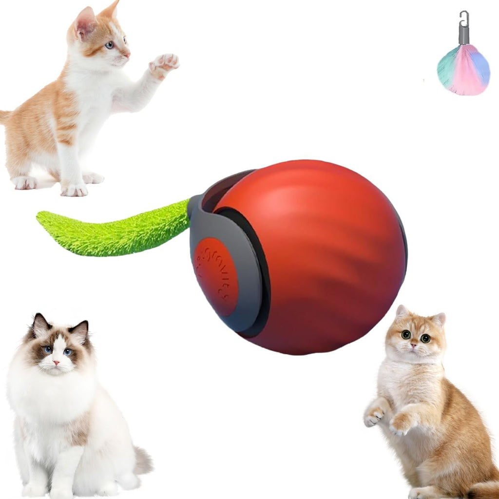 Gesmay Speedy Tail Rechargeable Cat Toy