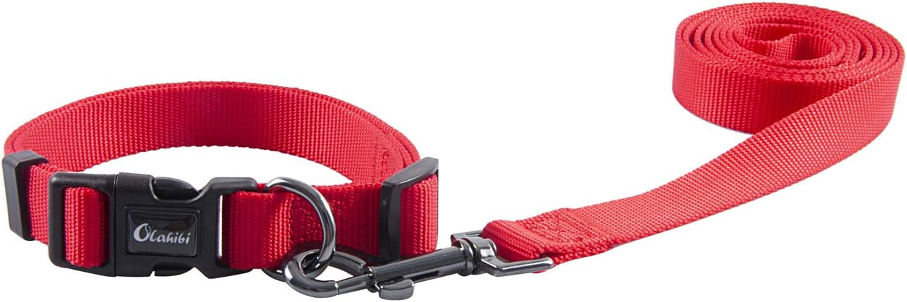 Olahibi Daisy Pattern Dog Collar and Leash | PetNestUK