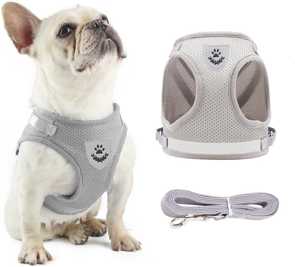 Anlitent Mesh Pet Harness and Lead Set