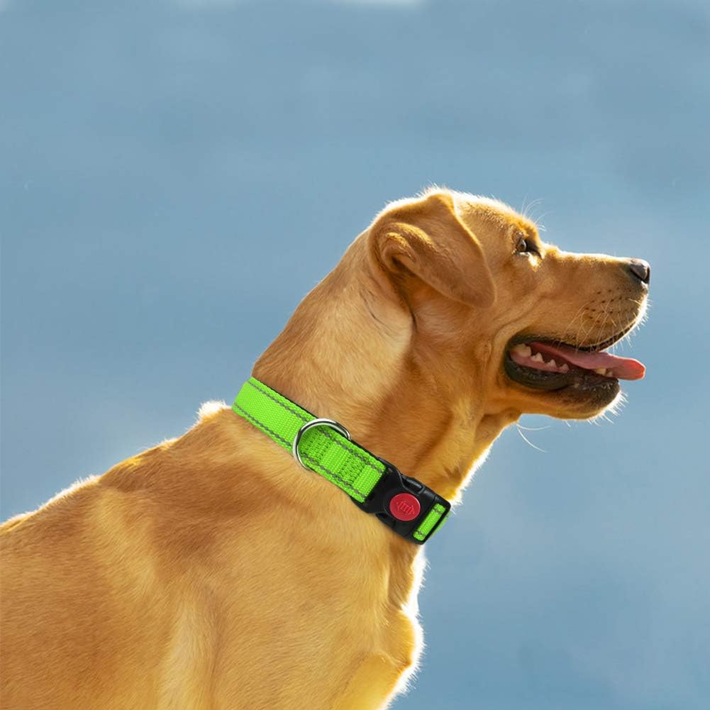 Taglory Reflective Nylon Dog Collar with Safety | PetNestUK