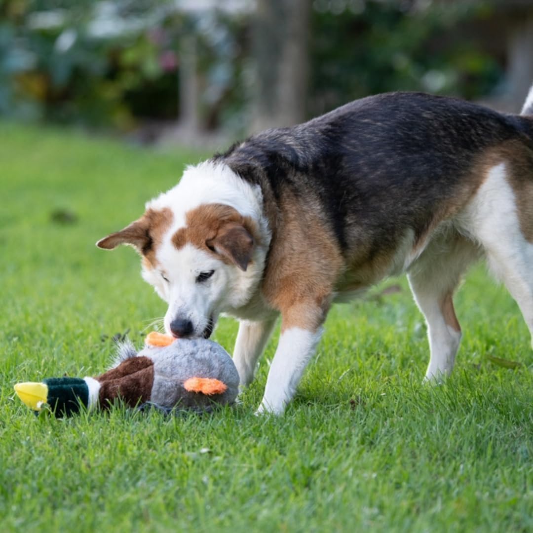 Petface Plush and Squeaky Dog Toys