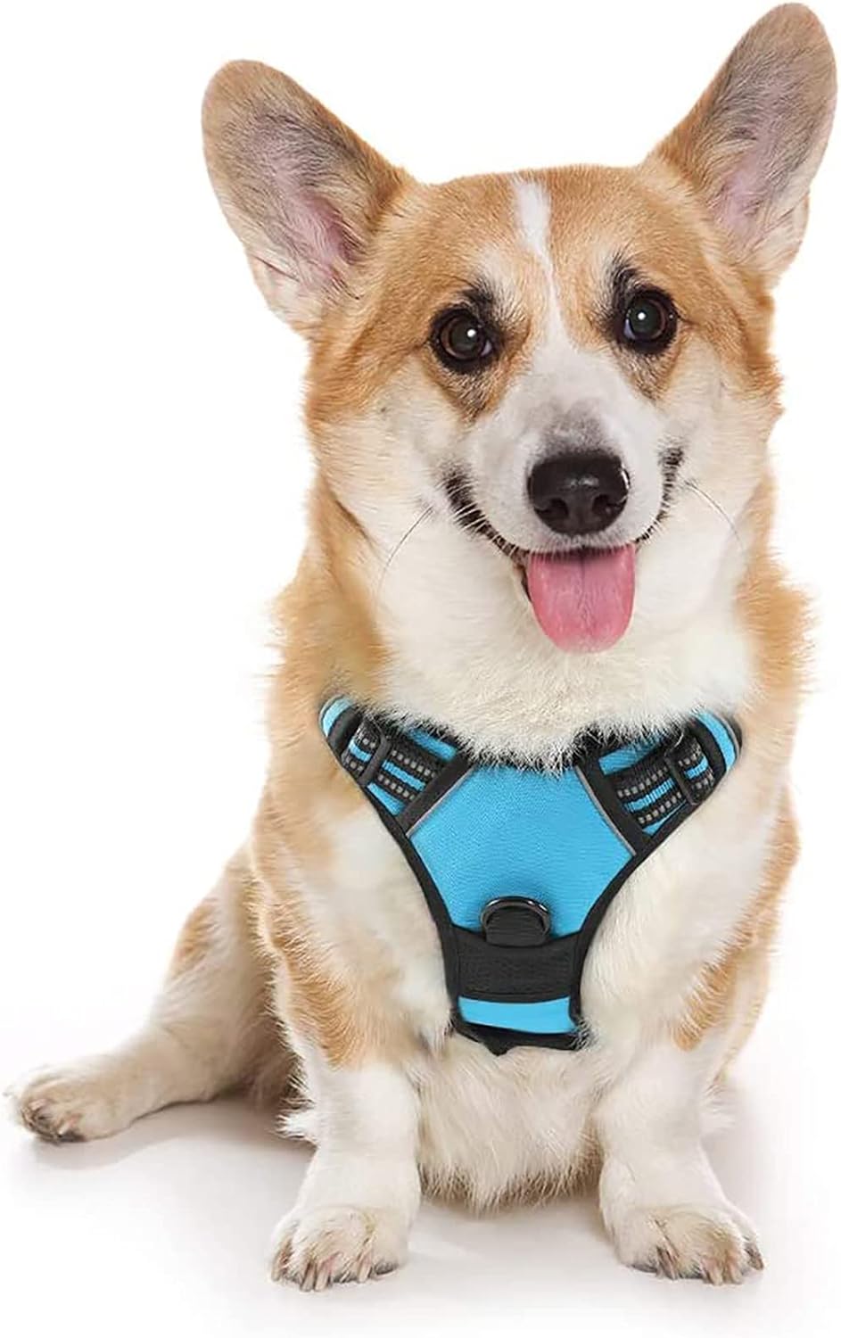 rabbitgoo Dog Harness Dog No Pull Pet Harness | PetNestUK