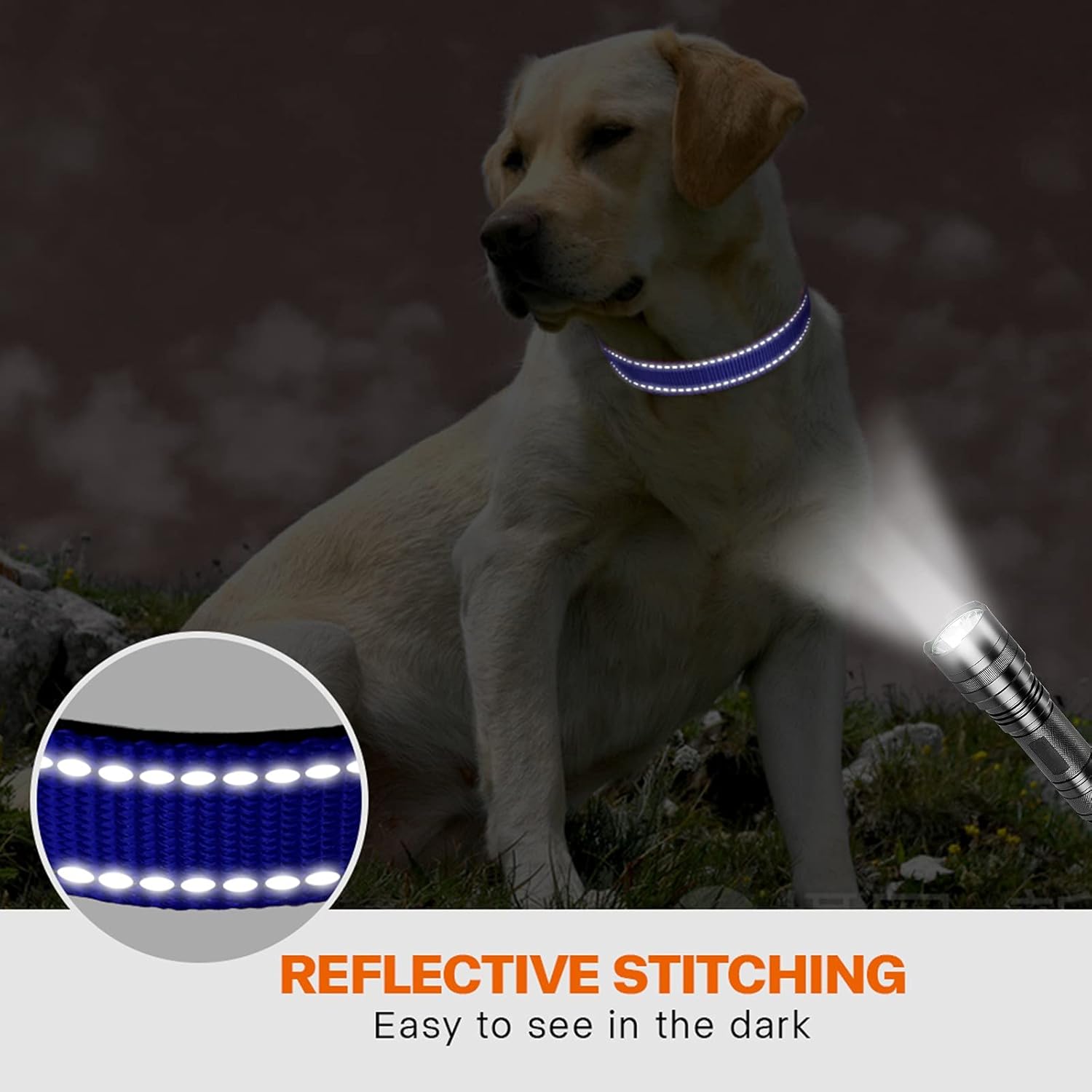 Taglory Reflective Nylon Dog Collar with Safety | PetNestUK