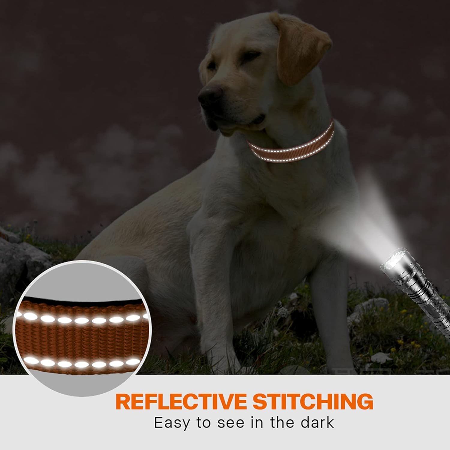 Taglory Reflective Nylon Dog Collar with Safety | PetNestUK