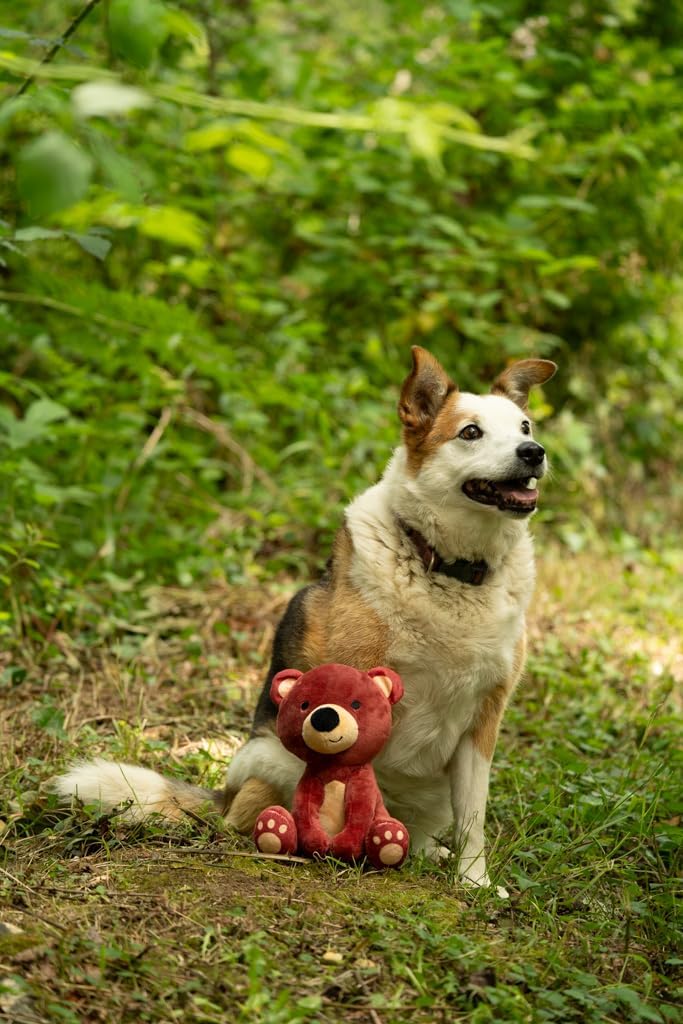 Petface Heston Hedgehog Plush Dog Toy (Pack of | PetNestUK
