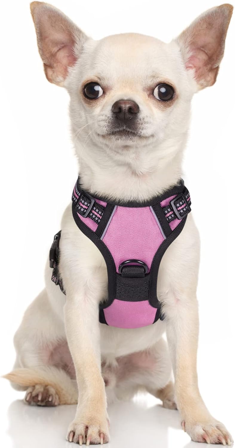 rabbitgoo Dog Harness Dog No Pull Pet Harness | PetNestUK
