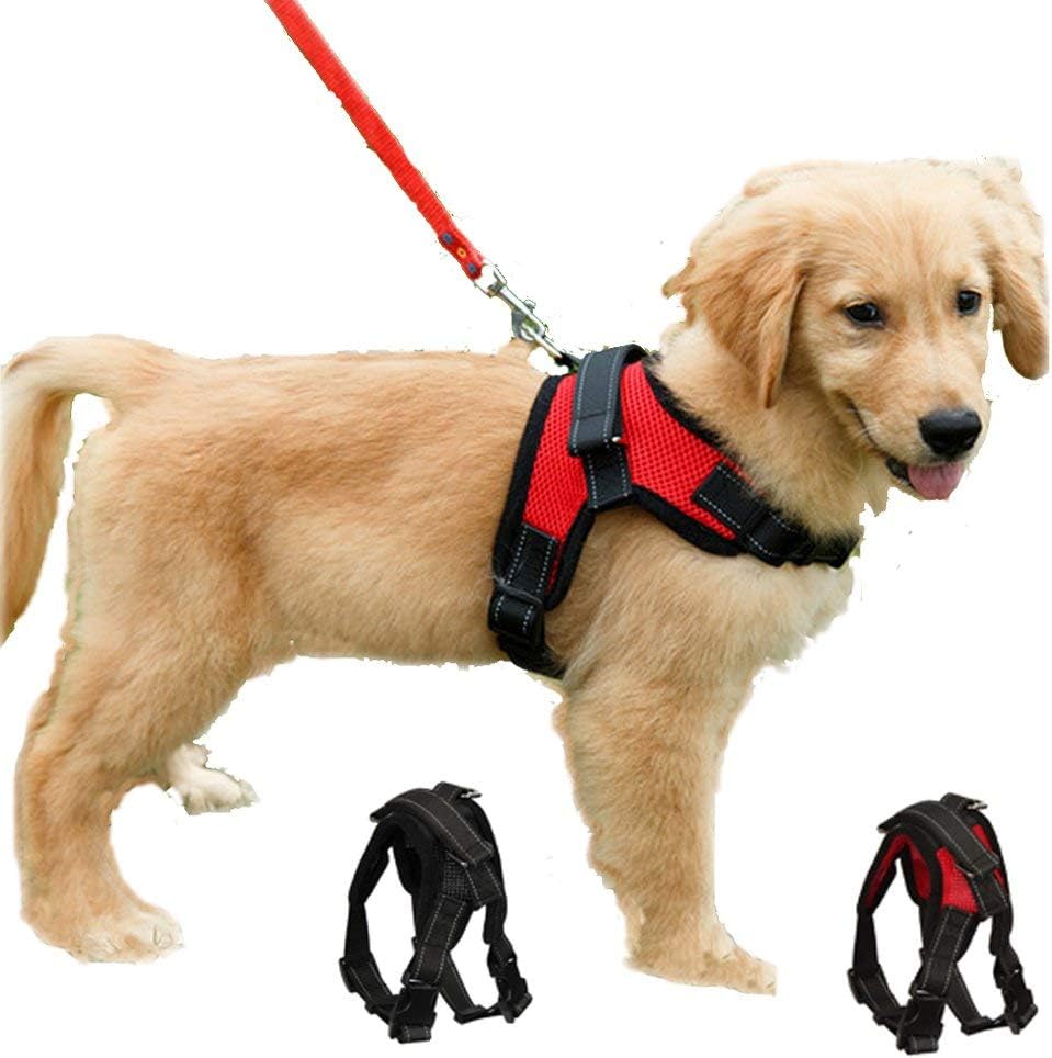 Dog Harness Mesh Breathable Comfortable Pet Vest | PetNestUK