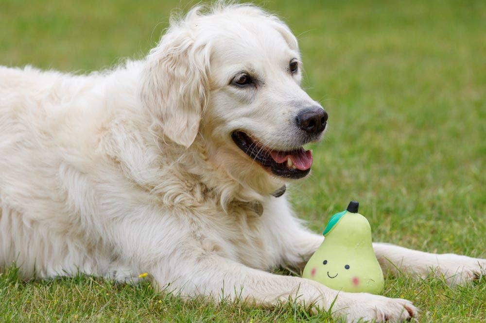 Petface Latex Apple Soft Chew Dog Toy, Large | PetNestUK