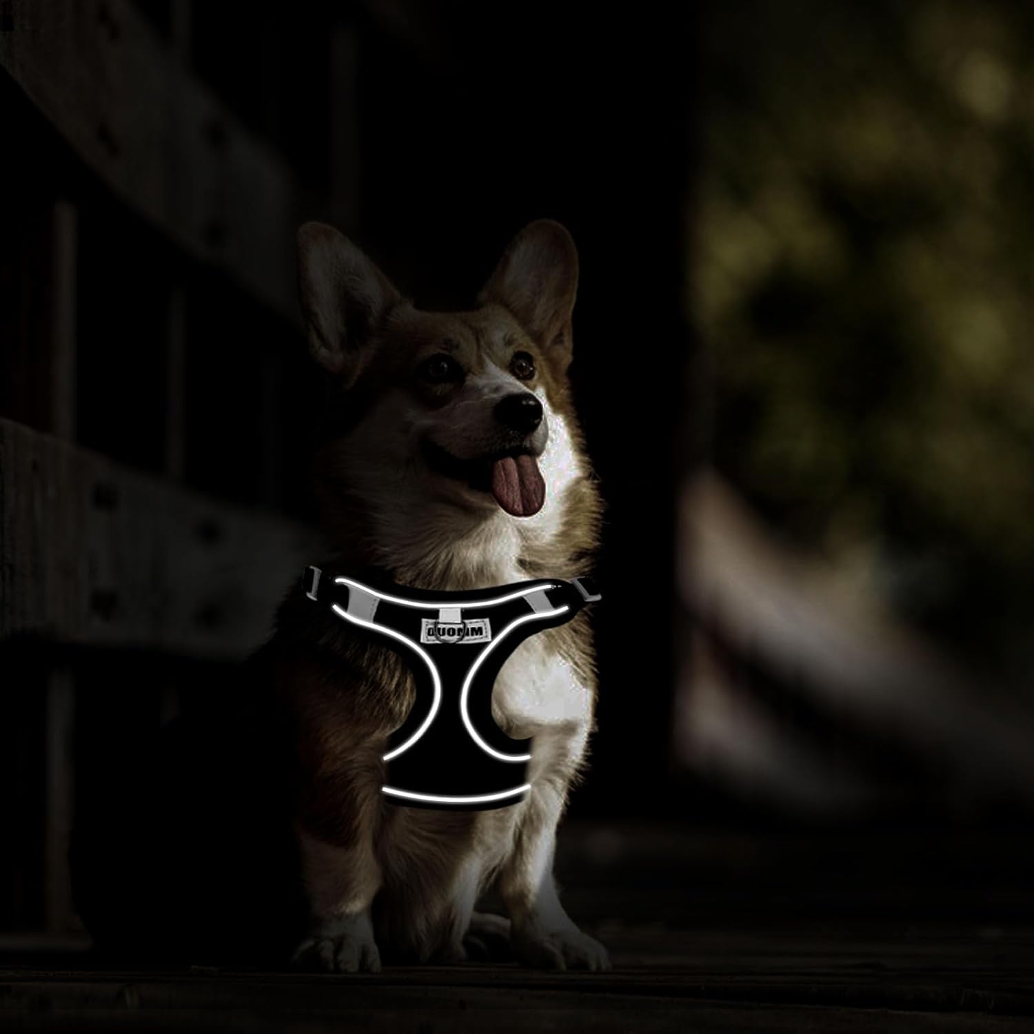 RAFIYU Dog Harness Medium Breathable Vest, | PetNestUK