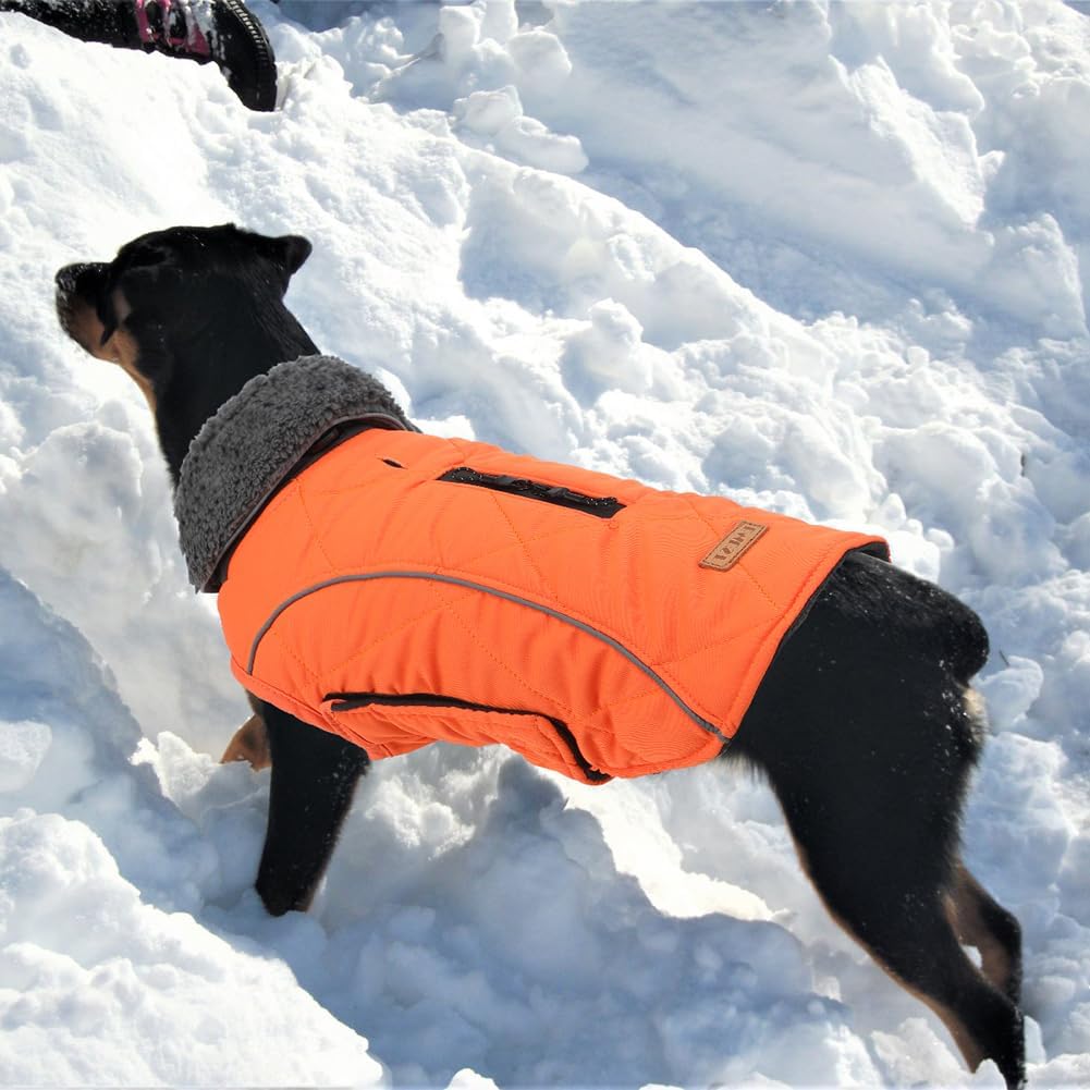 EMUST Winter Dog Coats, Fleece Dog Apparel for | PetNestUK