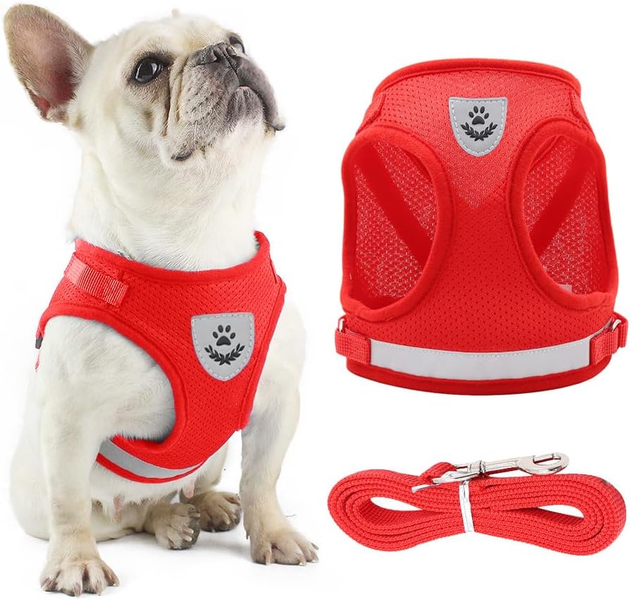 Anlitent Soft Mesh No Pull Cat Harness and Lead | PetNestUK