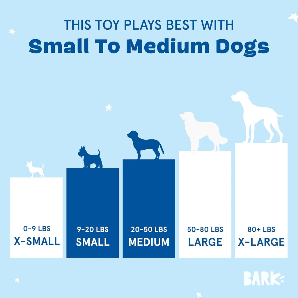 Barkbox Squeaky Dog Toys - Plush and Squeak Chew | PetNestUK