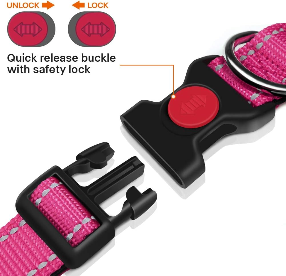 Taglory Reflective Nylon Dog Collar with Safety | PetNestUK